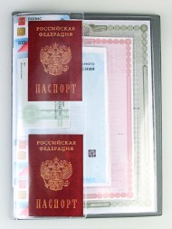 D-028 Обложка на документы для всей семьи (ассортимент1)
