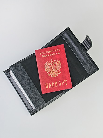 C-069 Обложка на автодокументы 3в1 "302B-1/302B-4" (крокодил/эко-кожа)